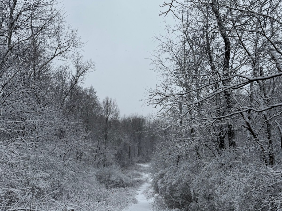 A Running List of All&nbsp;Today