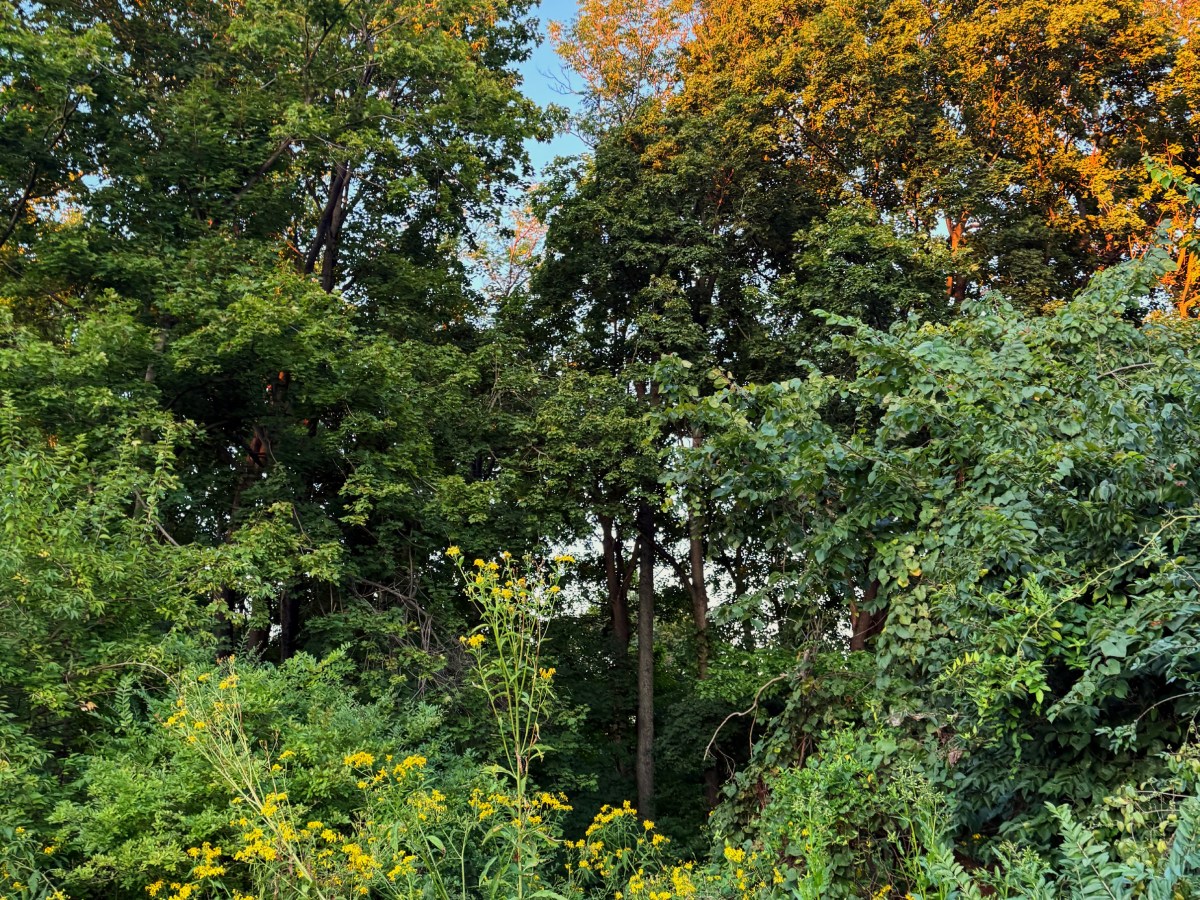 AUGUST